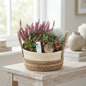 Outdoor Plant Arrangement in Round Wicker Basket – 28cm