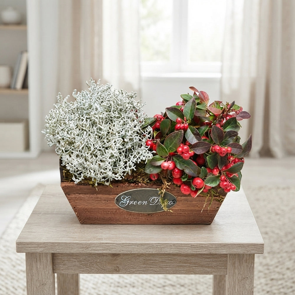 Medium Wooden Plant Arrangement – 24cm
