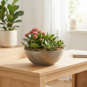 Taupe XL Decorative Plant Arrangement