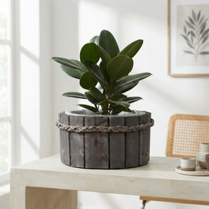 Round Wooden Pot Decor