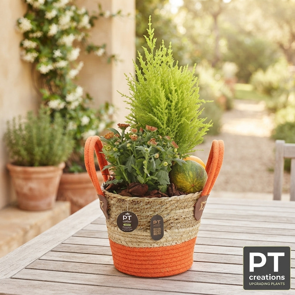 Artificial Garden Arrangement in Seagrass Pot – 19cm