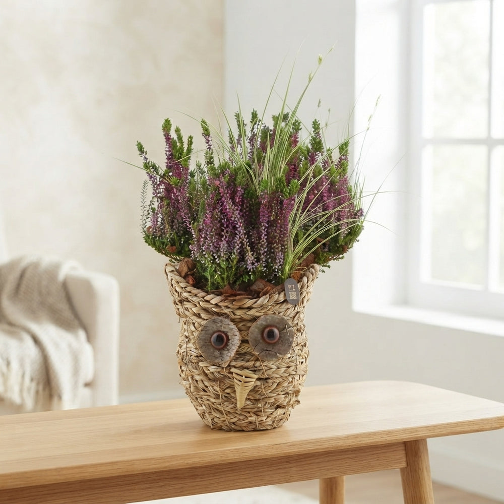 Decorative Wicker Basket Arrangement – 19cm