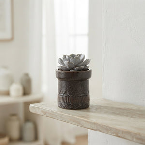 De Truly Succulent Collection – 11cm Kiva Pot