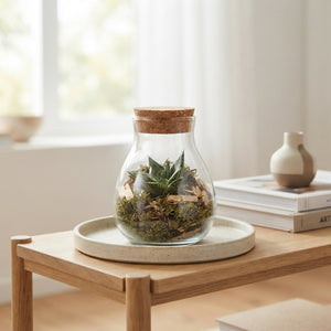 Gasteria Succulent in Glass Terrarium Bowl – 10cm
