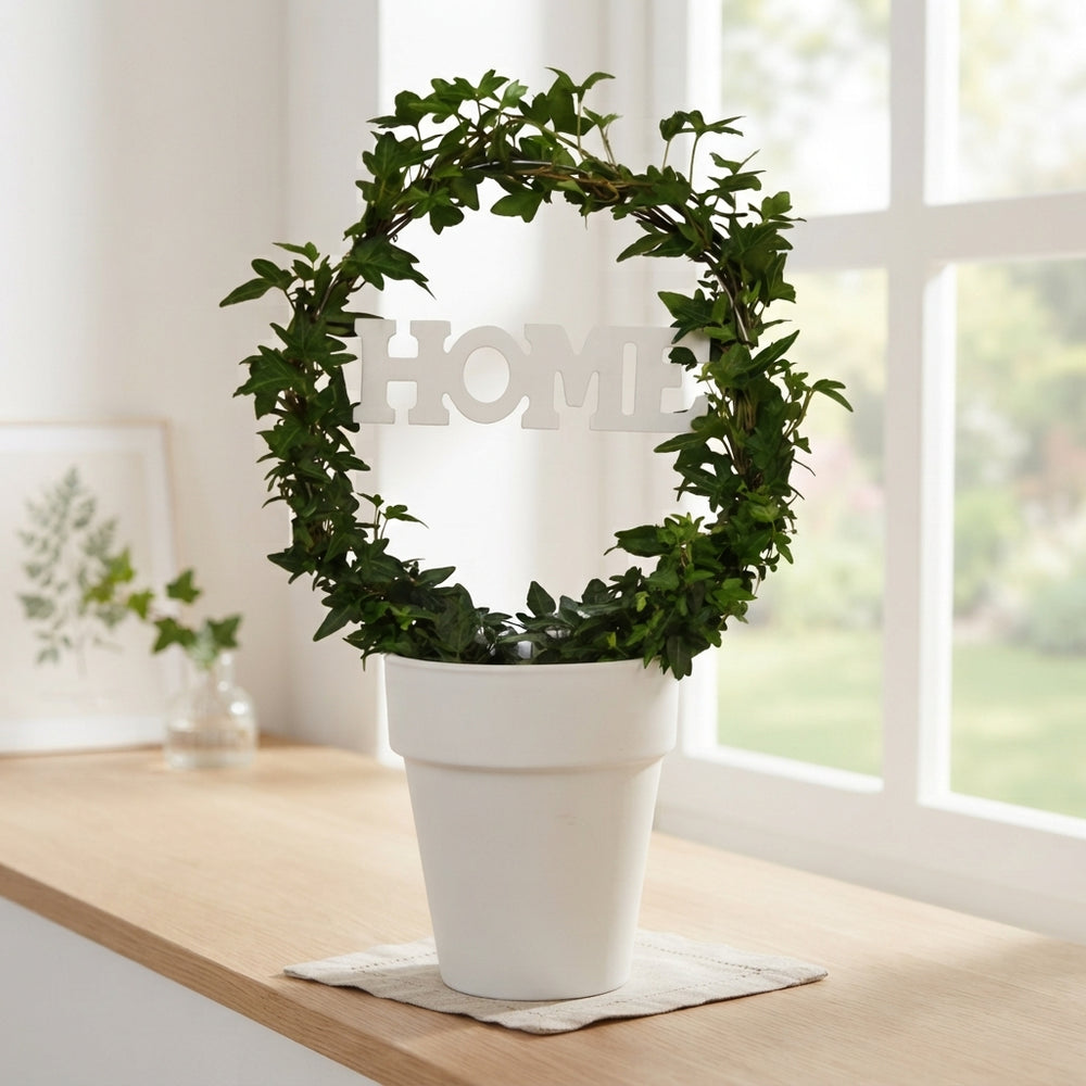 Green Ivy Heart Arch (Hedera helix) – 13cm Ceramic Pot