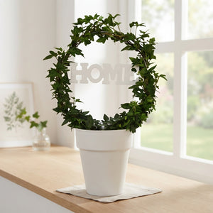 Green Ivy Heart Arch (Hedera helix) – 13cm Ceramic Pot