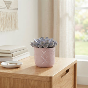 Mixed Succulent Arrangement – Tuvalu Ceramic Pot, 14cm