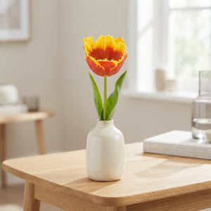 Mixed Fringed Tulip Bulbs (Tulipa) – 12/+