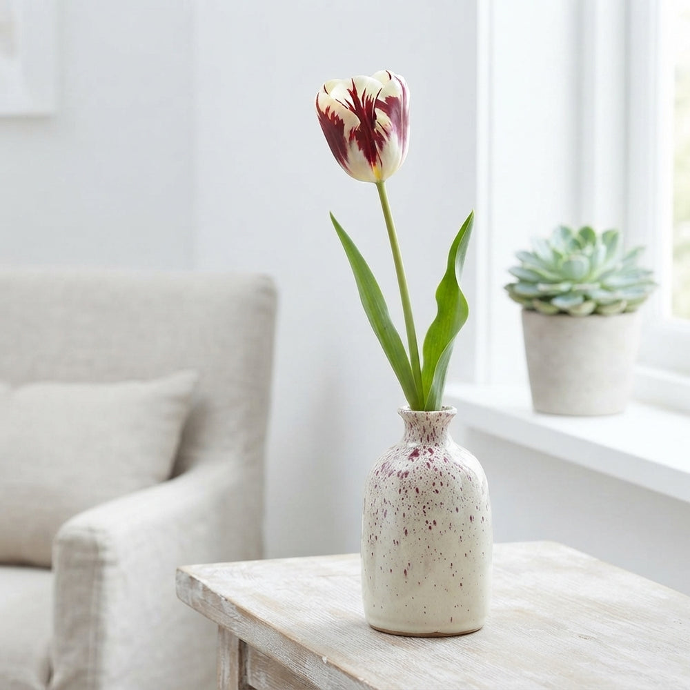 Tulipa ‘Garden Grand Style’ Tulip Bulbs – 12/+