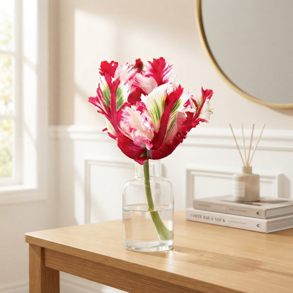 Parrot Tulip ‘Estella Rijnveld’ Bulbs – Pack of 7