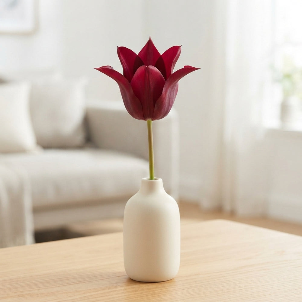 Tulipa ‘Lilyflowering Sarah Raven’ Flower Bulbs – 7 Bulbs