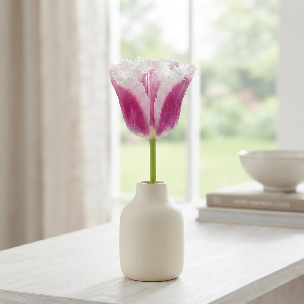 Fringed Tulip ‘Siesta’ Flower Bulbs – 7 Bulbs