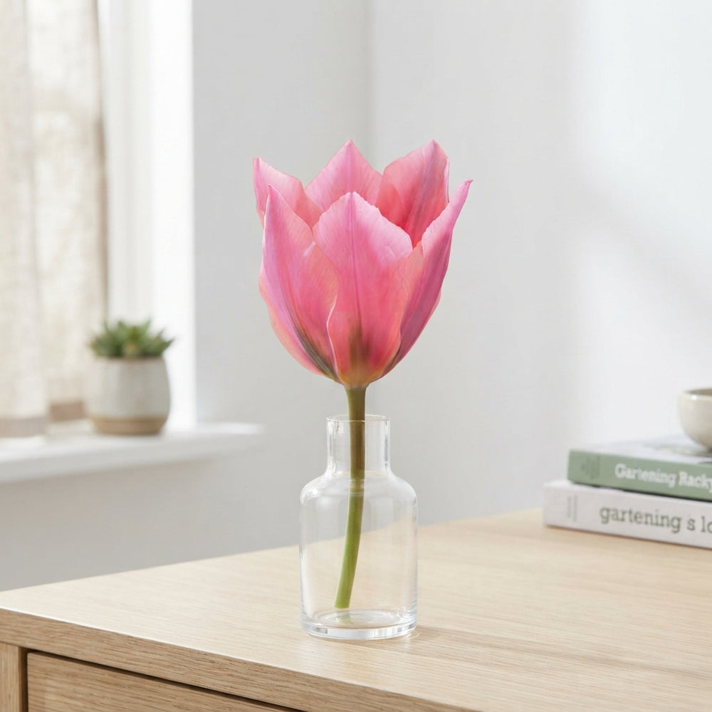 Tulip ‘Albert Heijn’ Flower Bulbs – 7 Bulbs