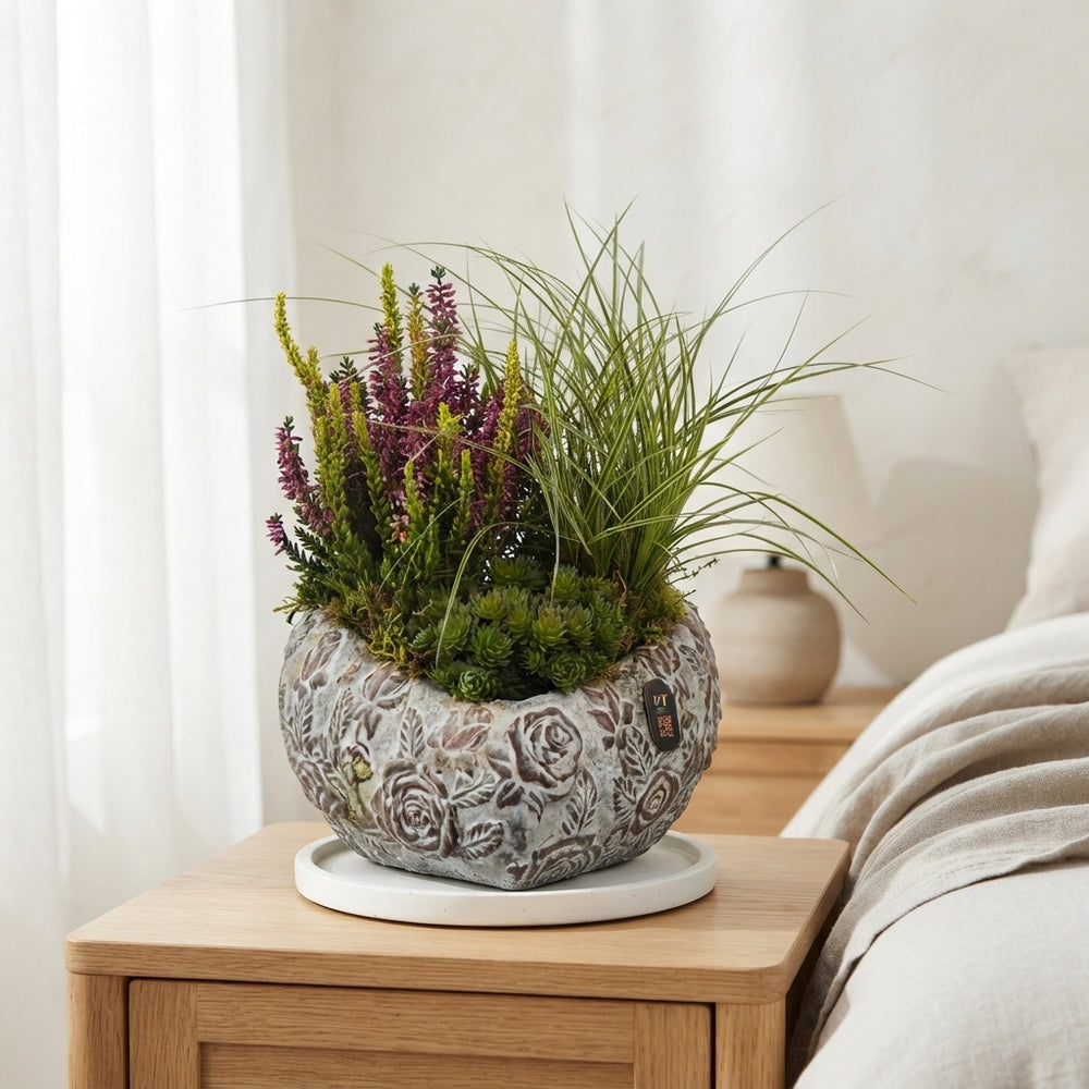 All Saints Heart-Shaped Plant Arrangement – 22cm Pot