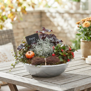 XL Zinc Garden Arrangement – 32cm Pot