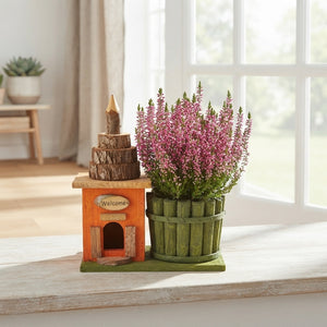 Mixed-Colour Plant Arrangement