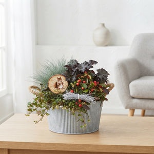 XL Zinc Plant Arrangement – 25cm