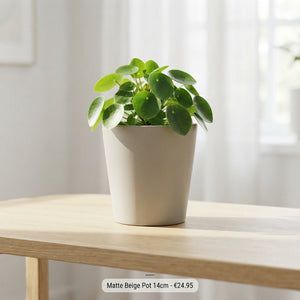 Natural Rattan Cylinder Plant Pot – 14cm