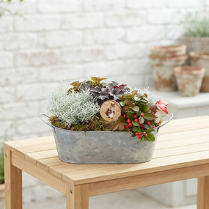 Garden Plant Arrangement in Zinc Pot – 23cm