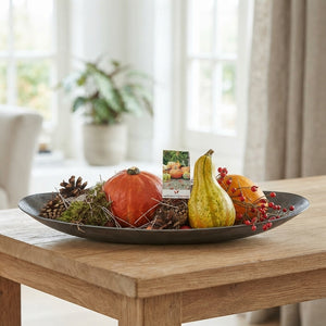 Mixed Sierfruit Arrangement – 50cm Oval Pot
