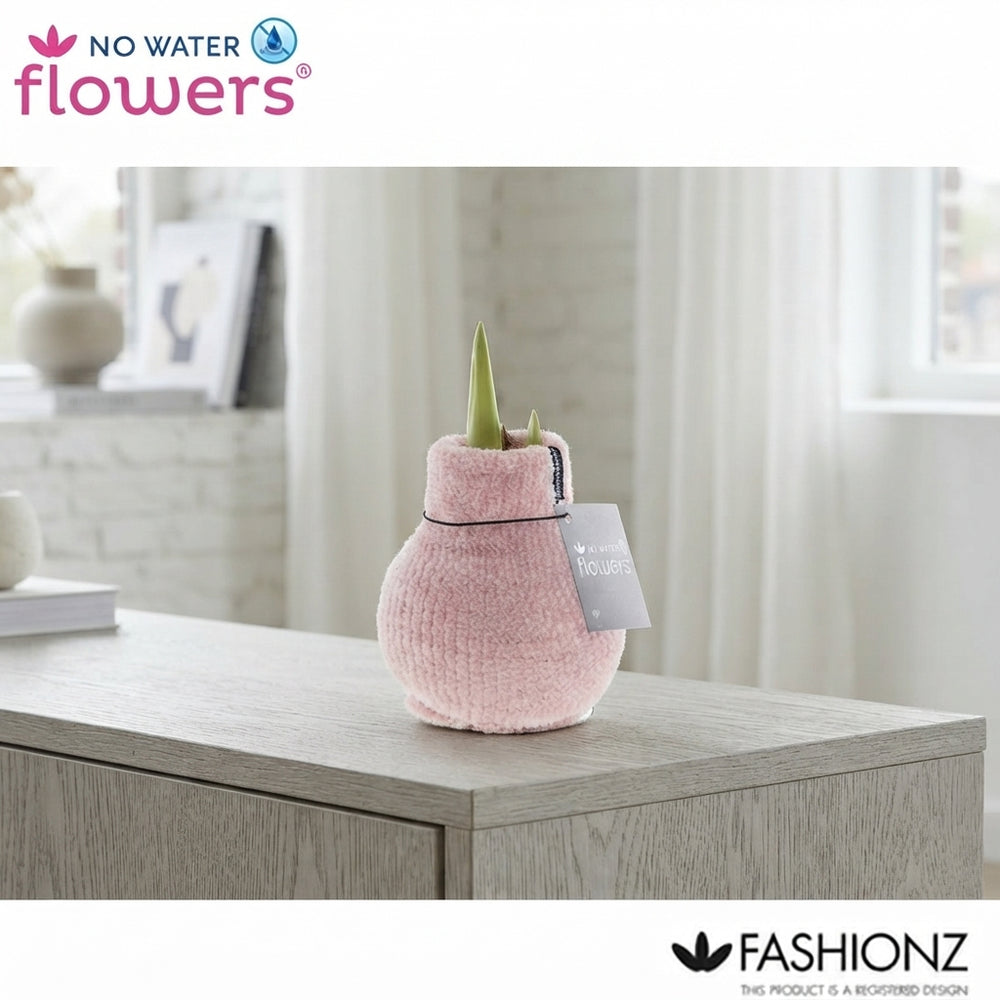 Amaryllis ‘Fashionz Cozy Fluffy’ Waxed Bulb