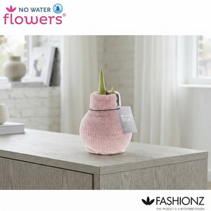 Amaryllis ‘Fashionz Cozy Fluffy’ Waxed Bulb