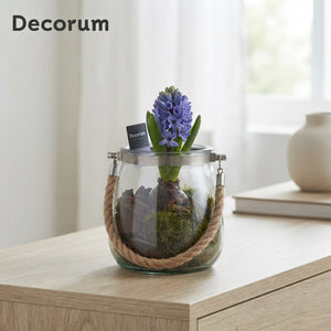 Glass Arrangement with Rope Detail – 13cm Pot