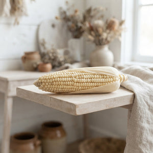 White Zea Mays Ornamental Grass
