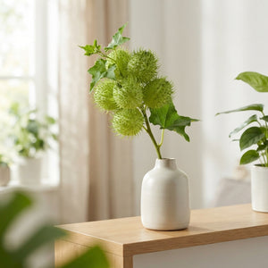 Decorative Green Cucumis Ornamental Fruit