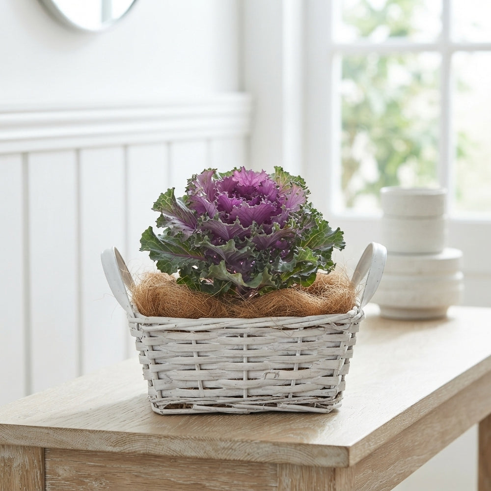Mixed Colour Floral Arrangement