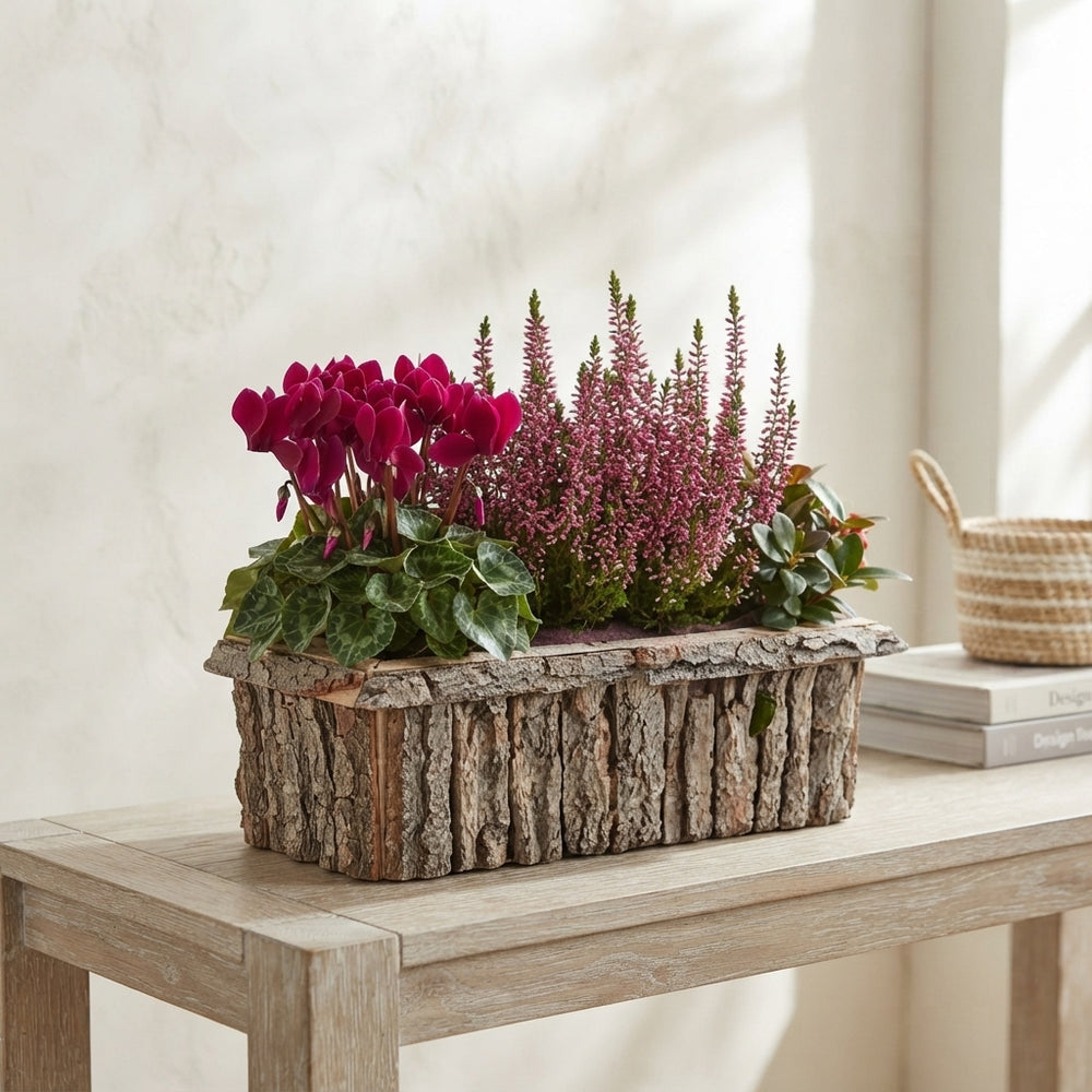 Mixed Colour Bark Arrangement