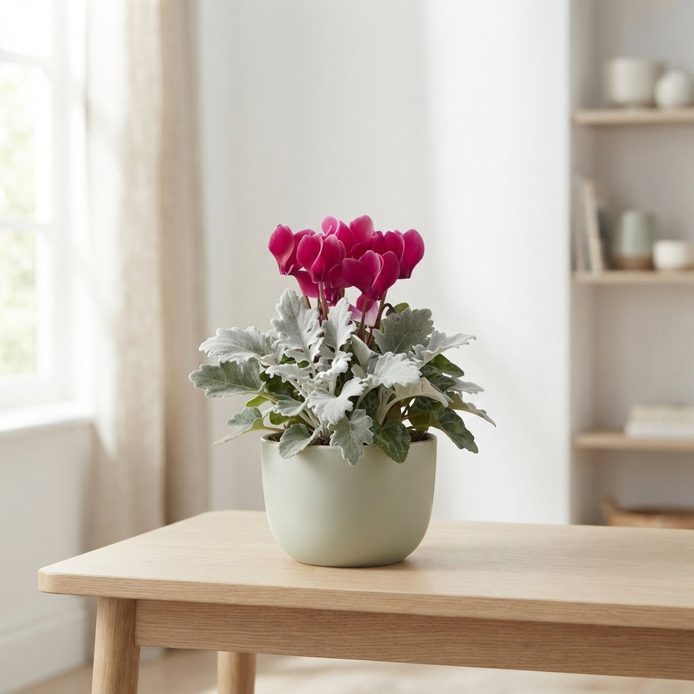 Mixed Green Plant Arrangement in Zinc Bowl