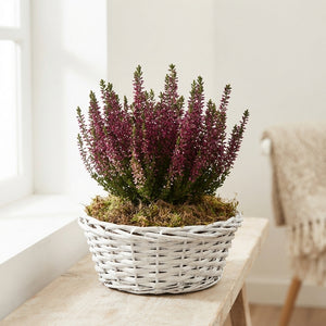 Mixed Colour Floral Arrangement – 3 Stems