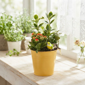 Mixed Colour Flower Arrangement in Yellow Bucket