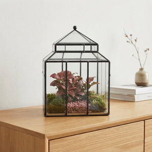 Wardian Case Terrarium Arrangement – 20cm