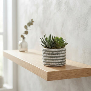 Mini Green Plant Arrangement – 8cm Ceramic Pot