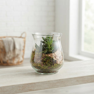 Succulent Arrangement in Glass Pot – 10cm