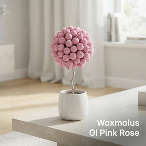 Pink Waxflower (Chamelaucium) – Cut Stems