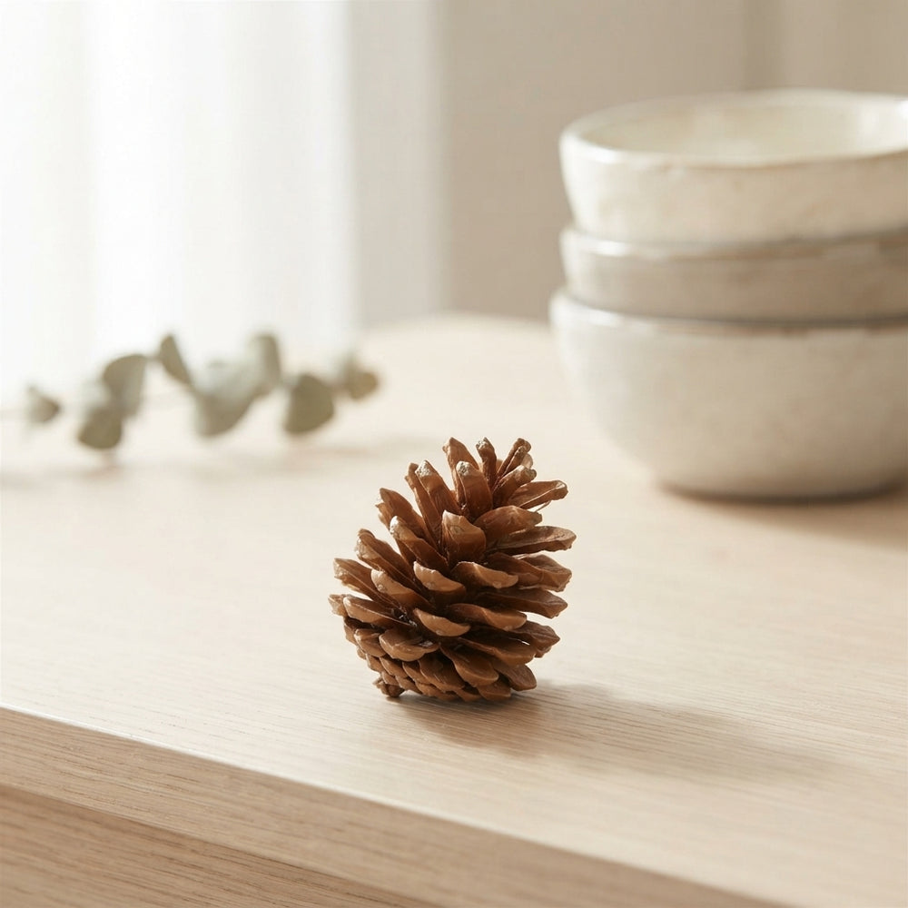 Pinecone Mix Wax Caramel Dried Flower Arrangement