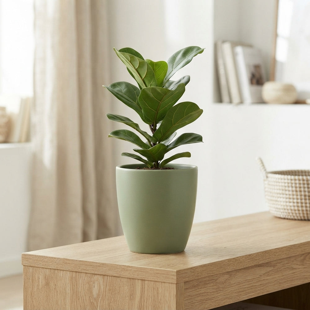 Ceramic Odense Plant Pot – 13cm