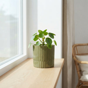 Ribbed Ceramic Plant Pot – 13cm
