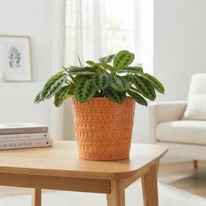 Orange Ceramic Hanging Plant Pot – 9cm