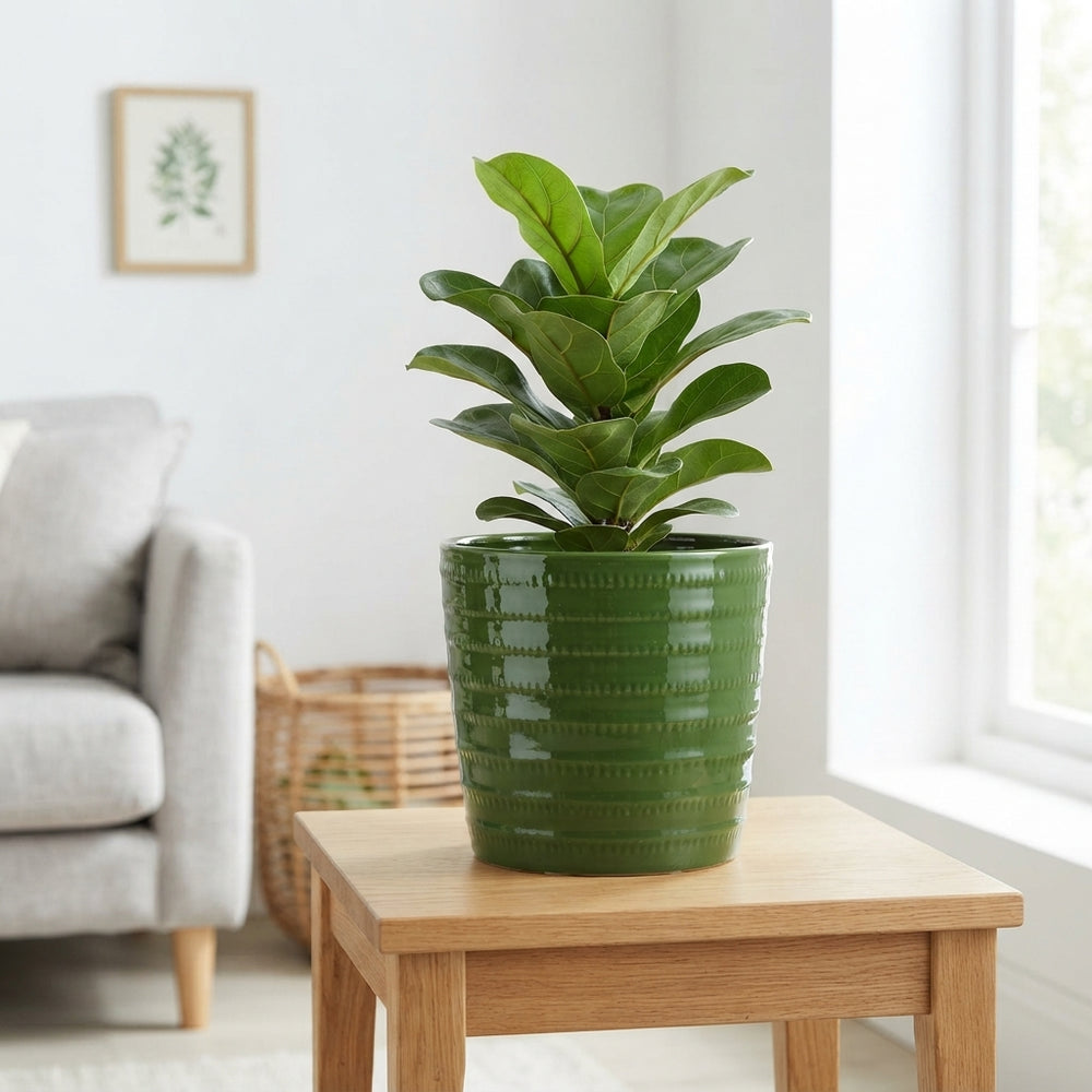 White Ceramic Aarhus Plant Pot – 12cm