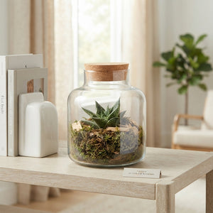 Gasteria Terrarium Arrangement in Glass Bowl – 10cm