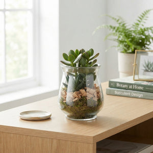 Succulent Arrangement in Glass Pot – 10cm