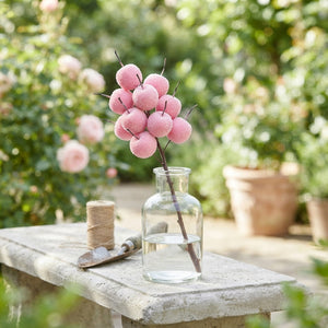 Pink Waxflower (Chamelaucium) – Decorative Stems
