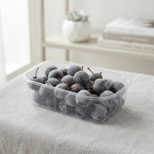 Black Wax Apple Branches – Decorative Stems