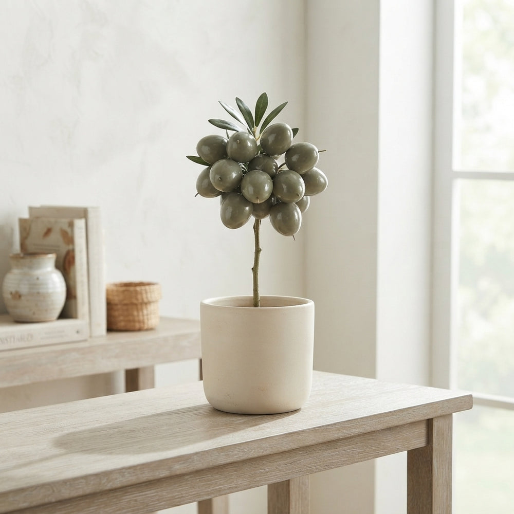 Wax Apple Olive Branch