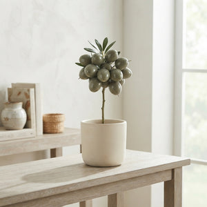 Wax Apple Olive Branch