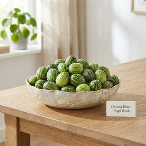 Ornamental Green Cucumis Fruits – Pack of 4